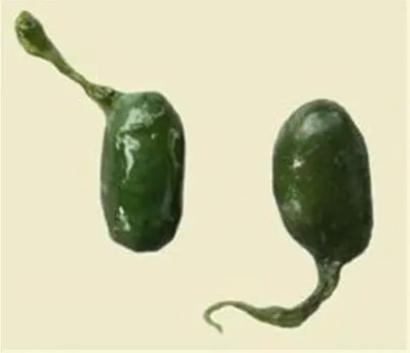 微信图片_20230403144719.png undefined