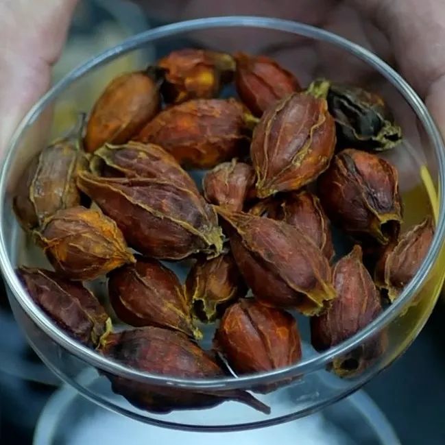 图片10.jpg undefined